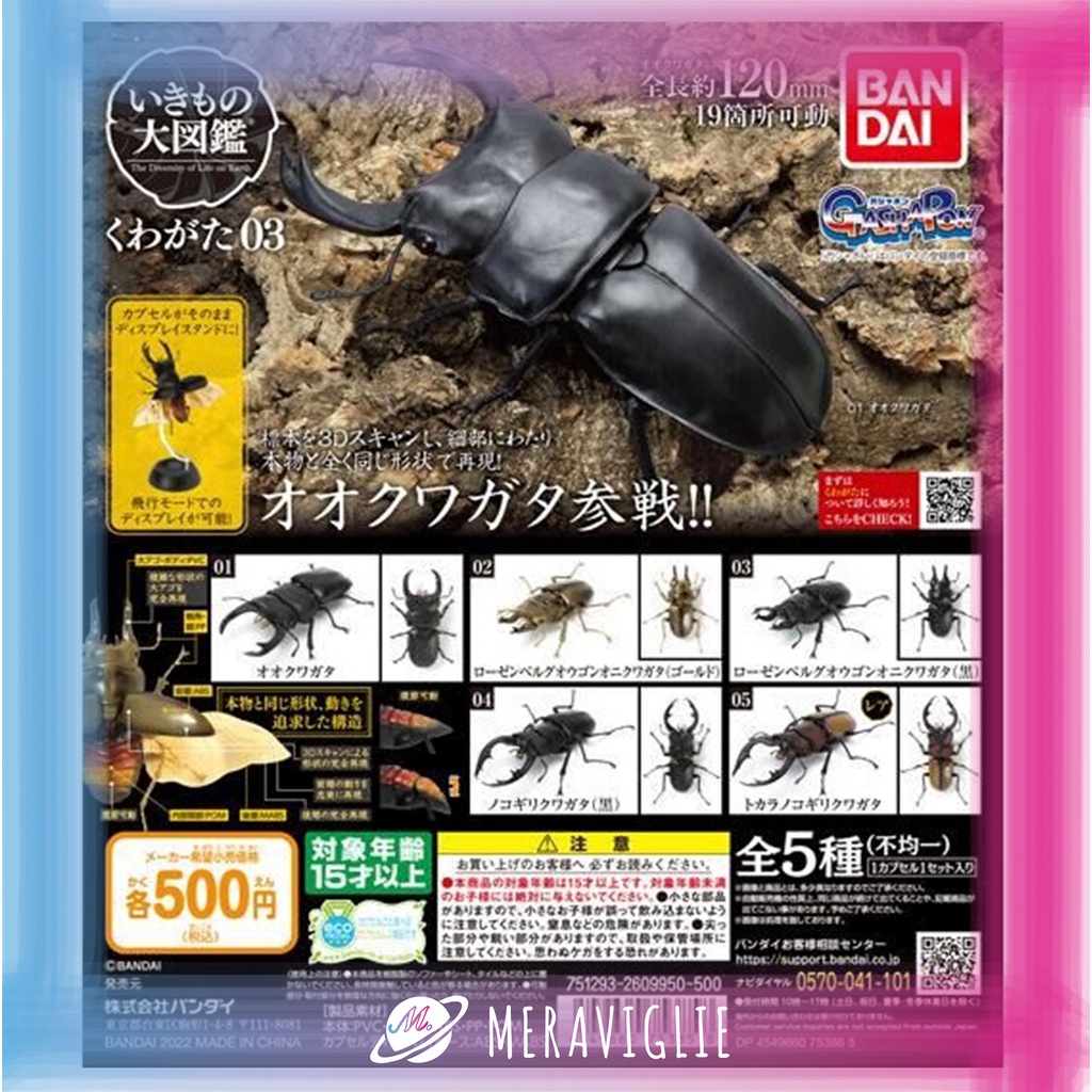 【M.M小舖】『現貨』 BANDAI 轉蛋 扭蛋 鍬形蟲 環保扭蛋 03 P3 3 環保扭蛋 獨角仙 甲蟲 全5款