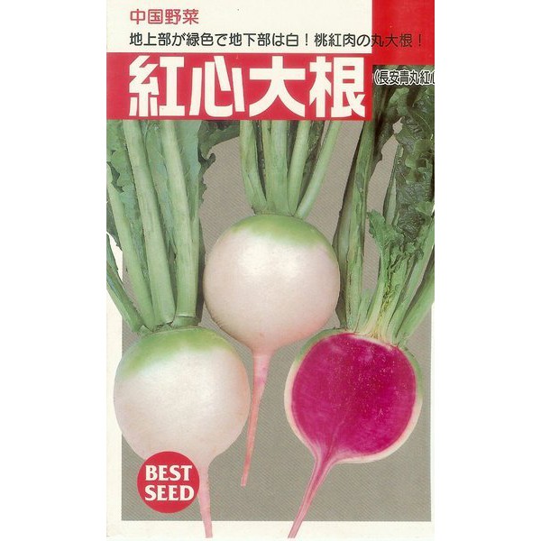 蔬菜種子s084 紅心大根 深受日本人喜愛的漂亮蘿蔔品種 蝦皮購物