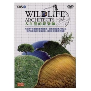 大自然的建築師DVD 台灣正版全新 WILDLIFE ARCHITECTS
