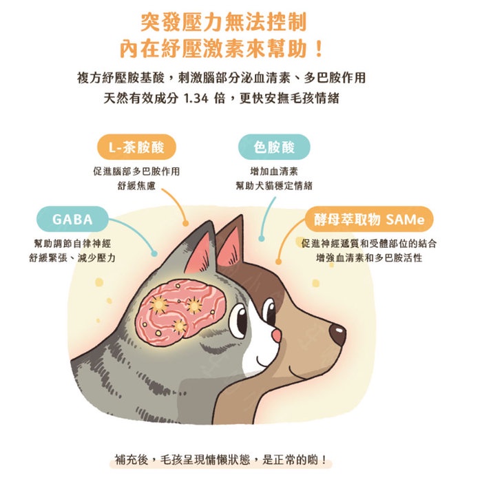 汪喵小舖2店 汪喵星球汪喵紓壓胺基酸2克x包 狗狗貓咪皆適用 蝦皮購物