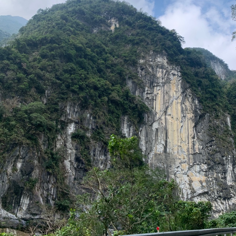 木材麵包 蝦皮購物