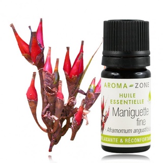 有機煥顏草精油5ML / 法國Aroma Zone