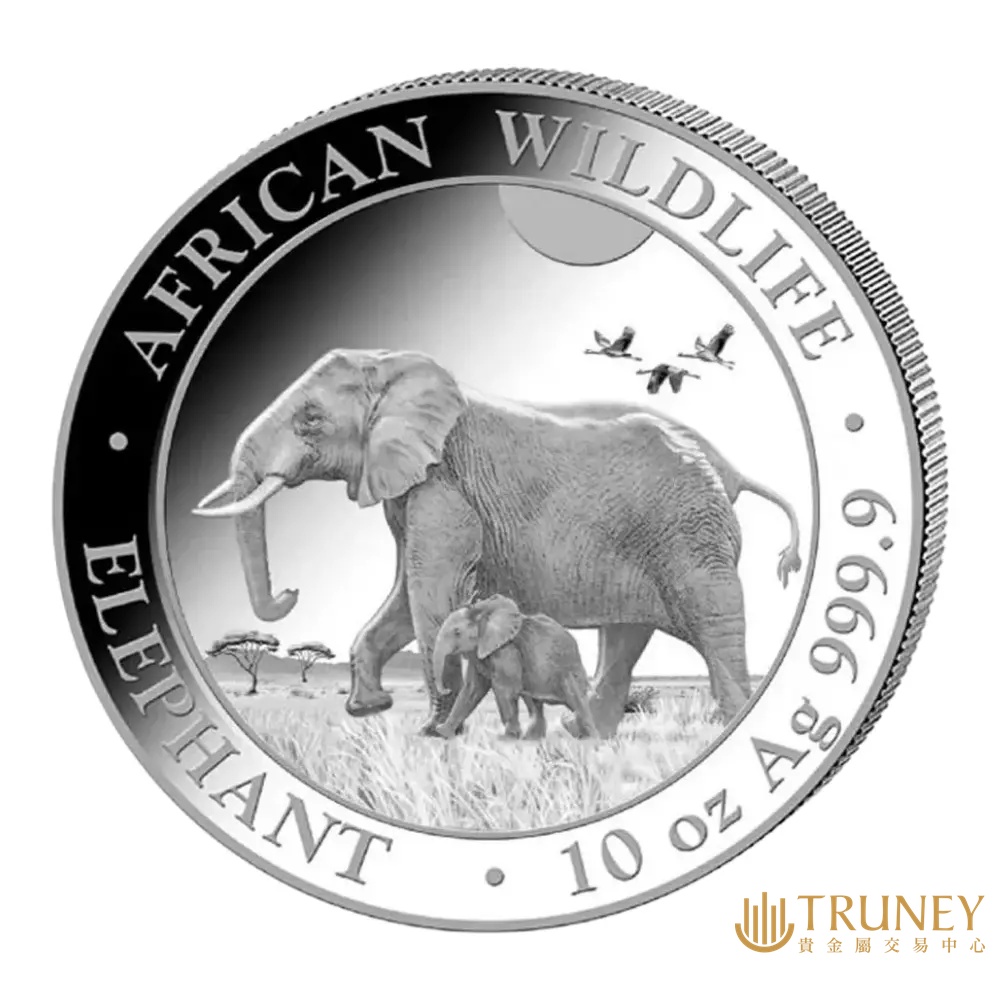 【TRUNEY貴金屬】2022索馬利亞非洲象紀念性銀幣10盎司 / 約 82.94台錢