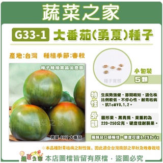 【蔬菜之家滿額免運】G33-1大番茄(勇夏)種子5顆(一點紅)耐青枯病、抗ToMV 0,1,2；圓形果、黑青肩果菜類種子