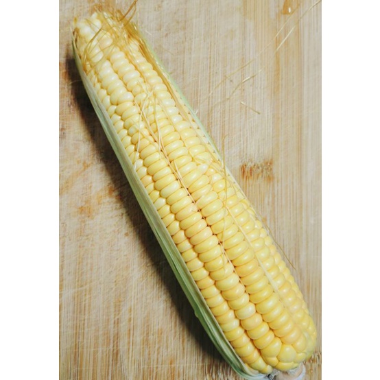 青農邸家【種籽】甜玉米 🌽 黃甜玉米 | 水果玉米 | 北海道牛奶玉米