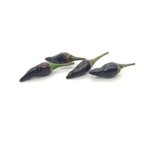 紫雞心辣椒種子(大辣)~果長約2.5cm，適合盆植，多產，少見品種