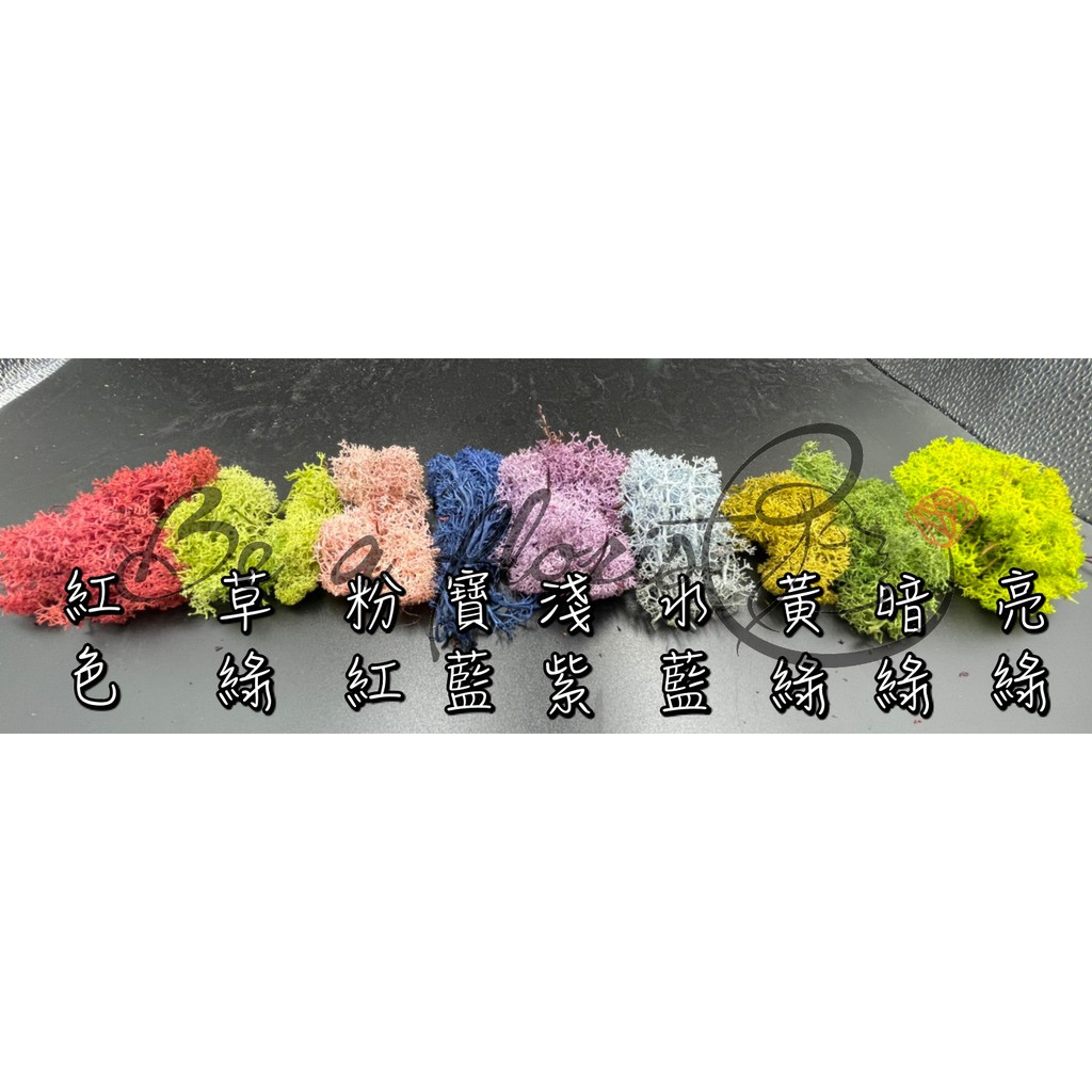 Be A Florist 花藝夢 挪威馴鹿不凋水草 苔蘚 以克計價 蝦皮購物
