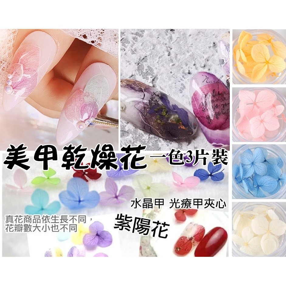 美甲紫陽花瓣 菲玩美甲 Gd小朵乾燥花紫陽花繡球花美甲乾燥花光療凝膠夾心乾燥花植物花美甲飾品 蝦皮購物