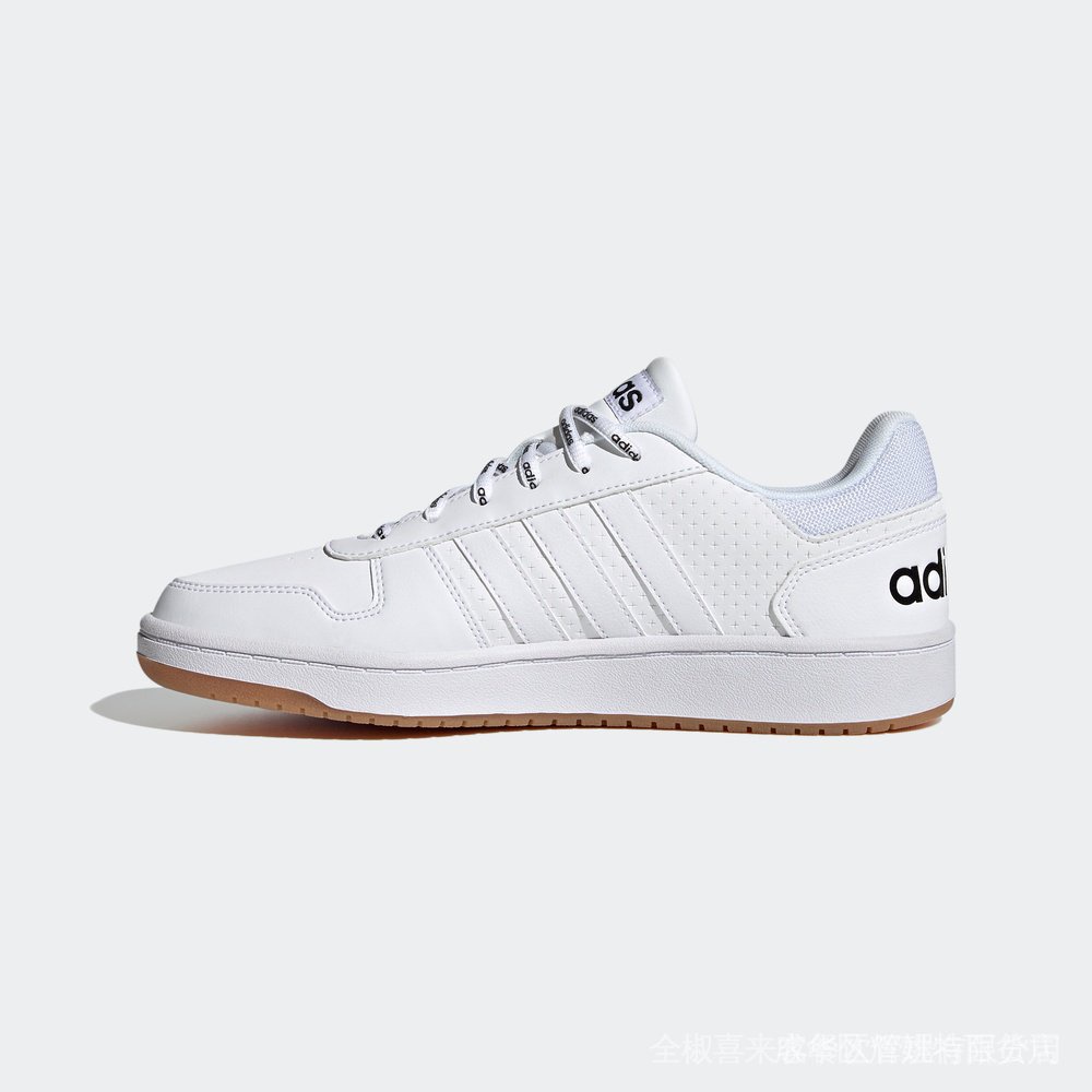 hoops 2.0 adidas white