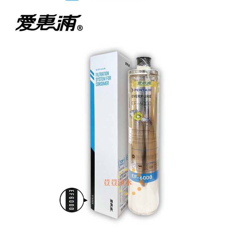 台灣愛惠浦PENTAIR EVERPURE EF-6000 濕式碳纖活性碳 原廠公司貨盒裝濾芯 EF6000 荳荳淨水