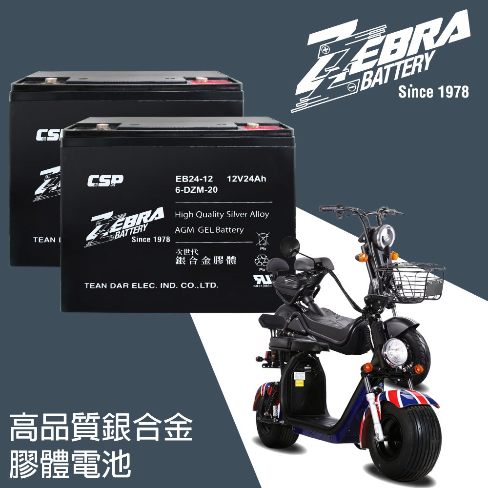 一組4顆區 斑馬牌 EB24-12 銀合金 膠體電池12V24Ah/等同6-DZM-20.電動車電池.REC22-12電