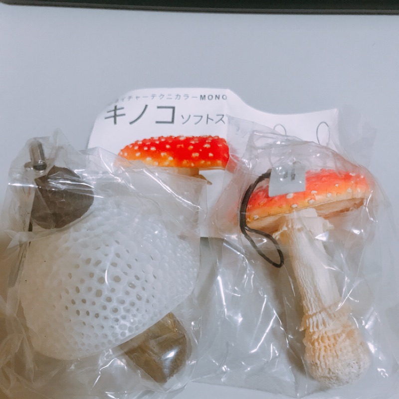 日本扭蛋 NTC圖鑑-菇類吊飾 香菇+竹笙 便宜賣
