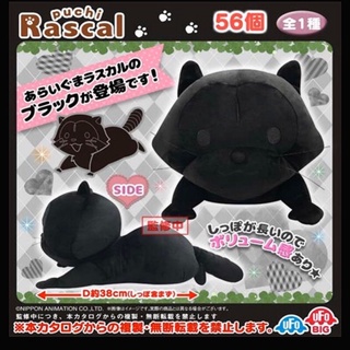 現貨 日本正版 景品 特別款 黑色 小浣熊 趴姿 拉斯卡爾 Rascal 名作劇場 あらいぐまラスカル 浣熊 娃娃