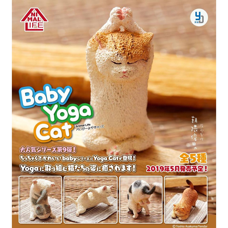 Eliy's Toy Shop🌸【現貨】朝隈俊男 ANIMAL LIFE Baby 瑜珈貓 貓瑜珈寶寶 轉蛋 1套5款