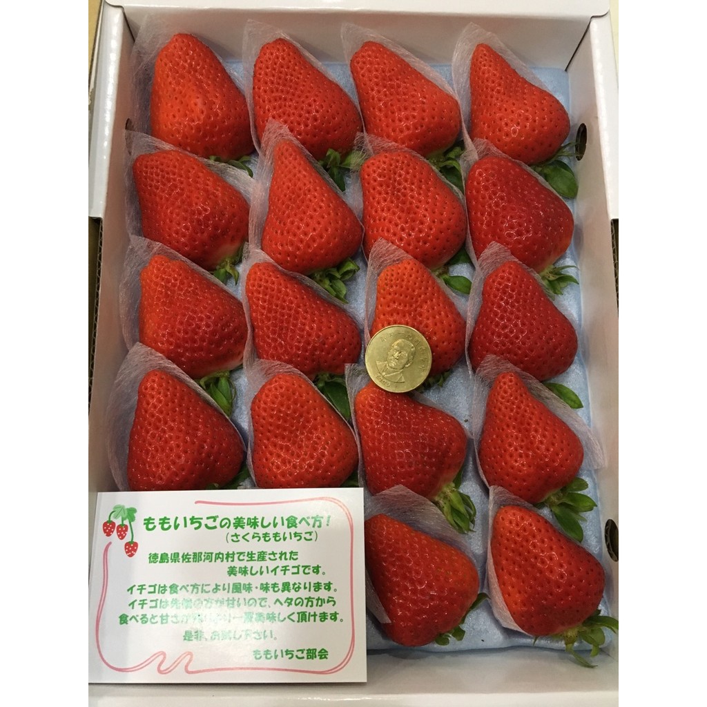 日本草莓.草莓苗. 德島 櫻花蜜桃(さくらもも) 草莓種子
