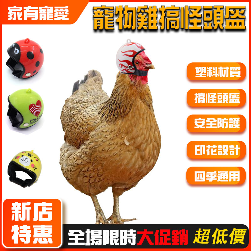 限時大促銷【家有寵愛】 熱銷 雞頭盔 寵物用品 搞笑安全帽 雞帽子 雞保護頭盔 寵物雞頭套