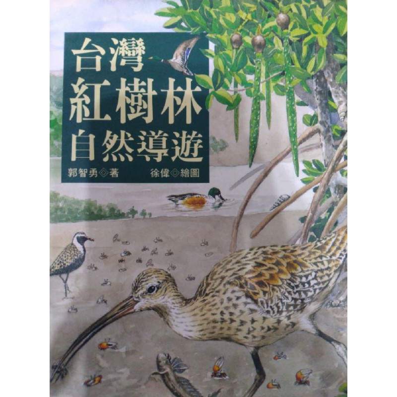 台灣紅樹林 自然導覽