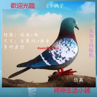 優質上新~模擬鳥模型鳥灰鴿子模擬小鴿子鳥 家居景觀裝飾品擺件野鴿子廣場鴿小模型假斑鳩--Keshi優選精品