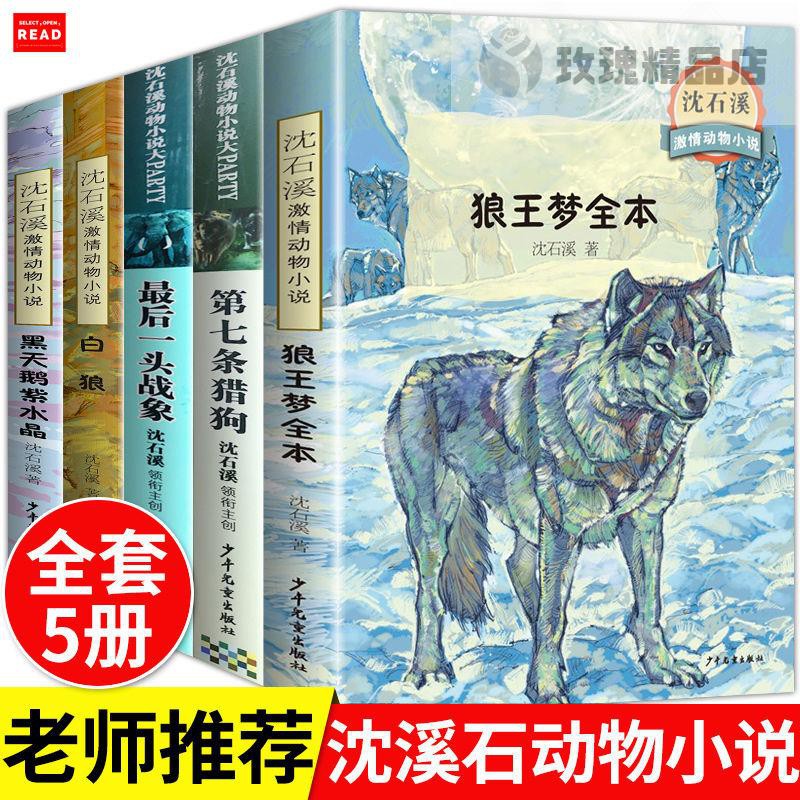 玫瑰精品店 沈石溪動物小說插圖不注音狼王夢全本第七條獵狗最后一頭戰象白狼 蝦皮購物