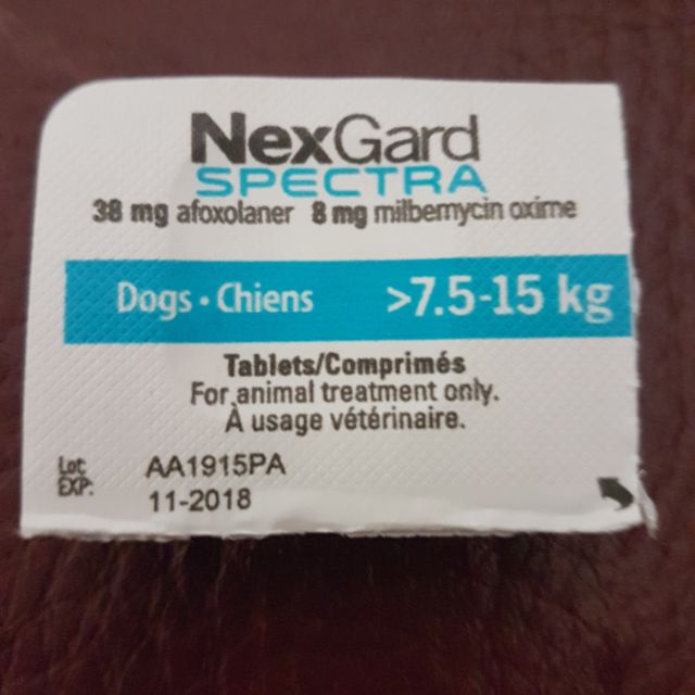 全x狗s 中型犬7.5~15kg 自售。