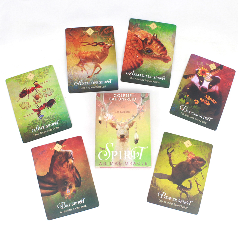 現貨實拍心靈動物神諭卡the Spirit Animal Oracle 英文神諭卡英文定制有中文翻譯 蝦皮購物