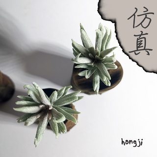 多肉 模擬多肉 微景觀 P48 假多肉植物 辦公室小物生日禮物拍照道具居家裝飾咖啡屋商店擺飾迷你木頭底座盆栽