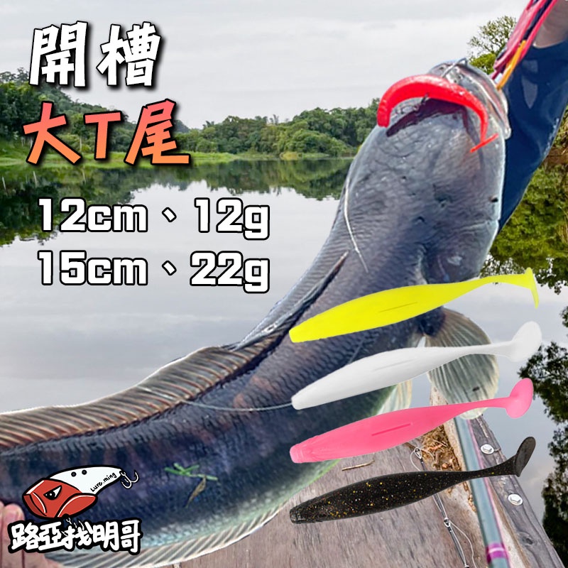 【路亞找明哥】開槽 大T尾 12cm 15cm 軟蟲 軟餌 T尾 魚虎 泰國鱧魚 加州鱸魚 金目鱸魚