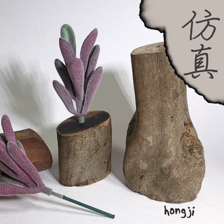 多肉 模擬多肉 P91 微景觀 假多肉植物 商店擺飾居家裝飾辦公室小物生日禮物拍照道具木頭底座咖啡屋盆栽