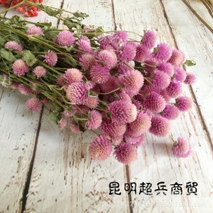 圓仔花 千日紅乾花 乾燥花 半 蝦皮購物