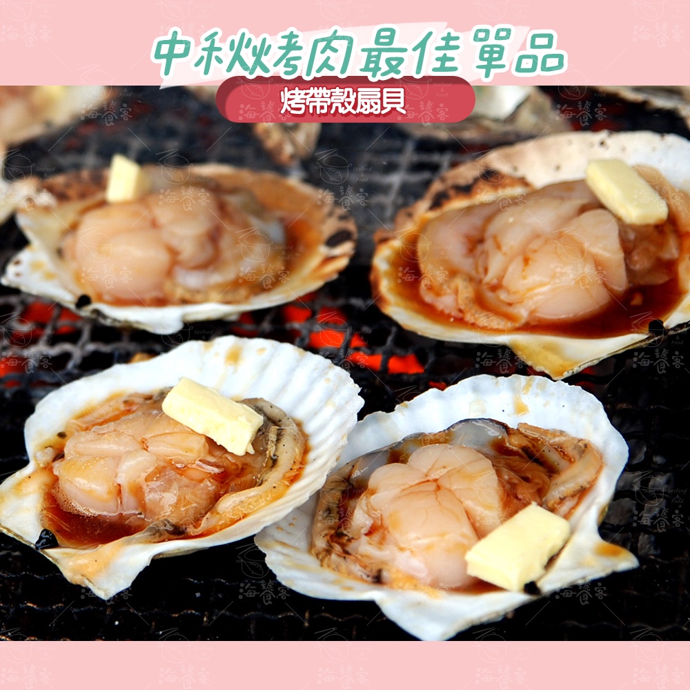 超鮮甜 帶殼扇貝 5粒 (350g/包,每顆約9-10公分) 海饕客 冷凍海鮮