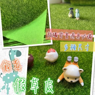 臺灣現貨✨ 模擬草皮 草坪 拍攝道具 拍照背景 假苔蘚 草地毯 棚拍 拍攝背景道具 草皮 模擬景觀草皮 微景模擬草皮 草