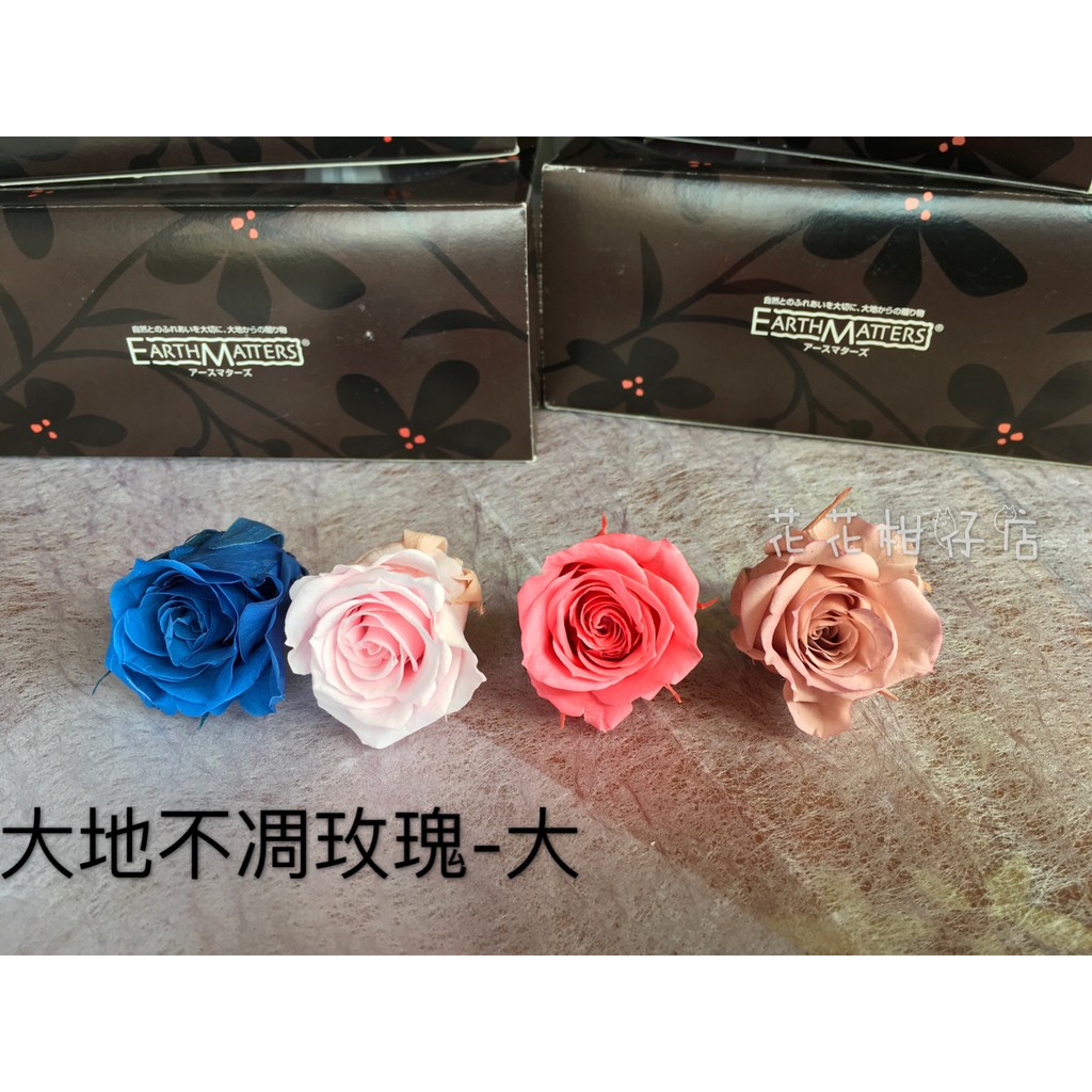 花花柑仔店 大地不凋玫瑰 大 大地農園不凋花乾燥花永生花束捧花花束盆花 蝦皮購物