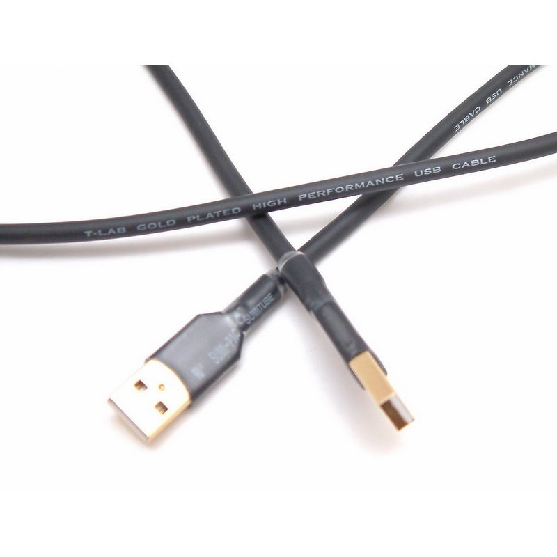 志達電子 CAB031 (T-Lab) USB A公-A公 T-LAB USB DAC 專用傳輸線 適用谷津 U1 U2