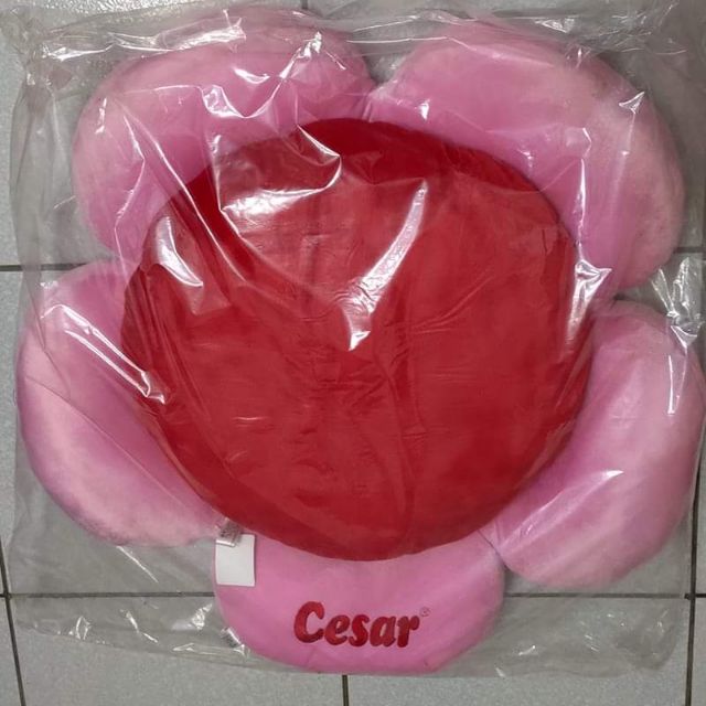 西莎 cesar 寵物花床❤️