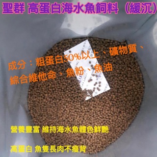 聖群 緩沉高蛋白海水魚飼料 高蛋白 魚飼料 非高夠力 高比例粗蛋白 淡水魚飼料 海水魚飼料