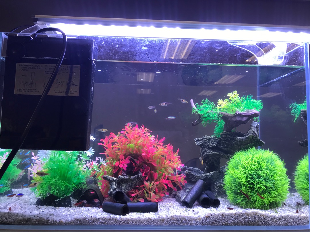 Ac草影 Suisaku 水作水槽の底砂 珪砂 2 4kg 一包 蝦皮購物