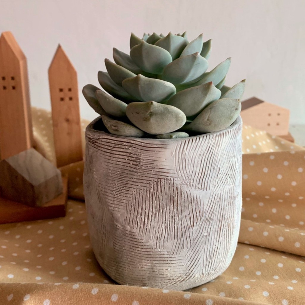 白刷刷手捏花器 陶器花器盆栽 蝦皮購物