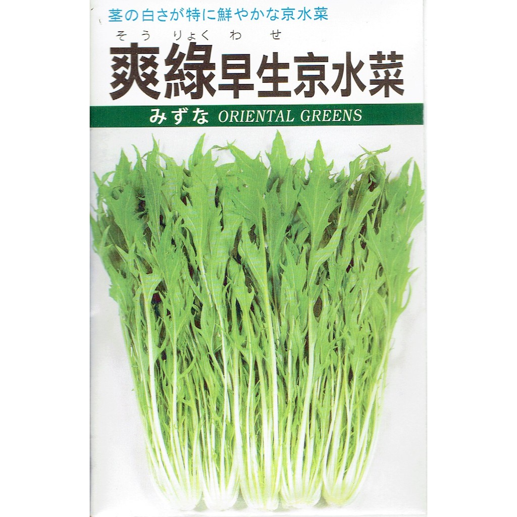 尋花趣日本進口爽綠早生京水菜中包裝蔬菜種子每包7公克新合成種子 蝦皮購物