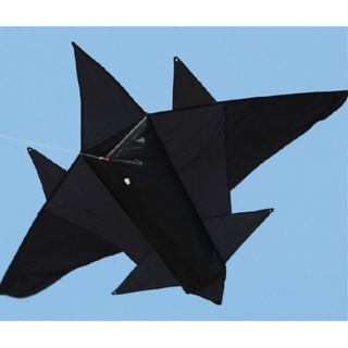 【風箏小舖】黑飛機風箏 造型風箏 玻璃纖維骨架 優質格子 中小型 風箏