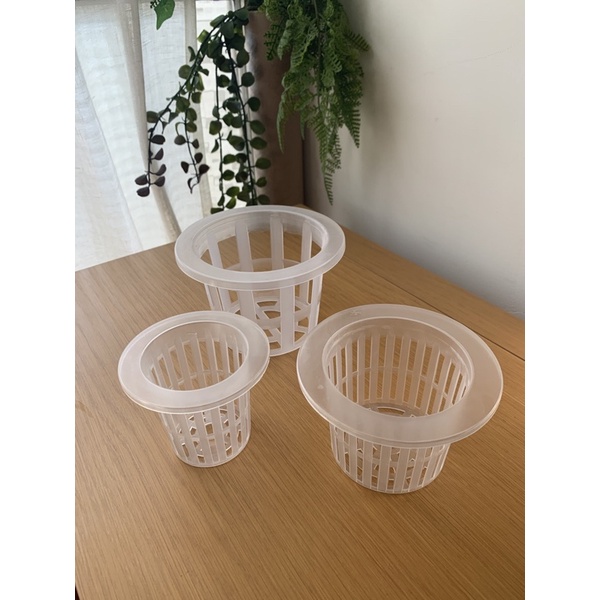 水培植物定植籃圓形無土栽培3種尺寸全新水耕植物礫耕植物 蝦皮購物