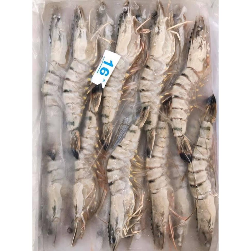 【水產系列】16P草蝦 / 馬來西亞草蝦／16尾草蝦／蝦子／冷凍食品／海鮮