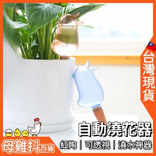 澆花器 自動澆水 植物 🇹🇼臺灣現貨+免運🔥 盆栽 灑水器 澆花 澆水器 自動灑水器 懶人盆栽 自動澆花器 外出 旅行