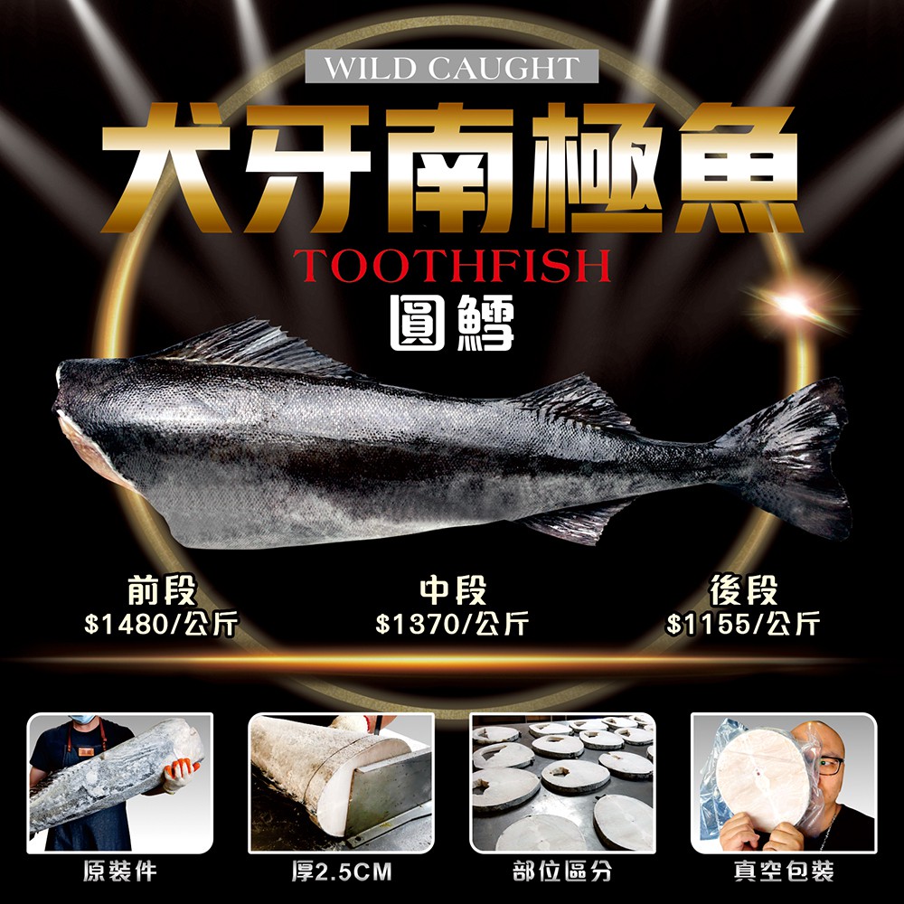 盅龐水產 犬牙南極魚輪切 圓鱈 片 前段有肚 中段無肚 後段尾巴 零 1155起 公斤 不定重 需實際秤重 蝦皮購物