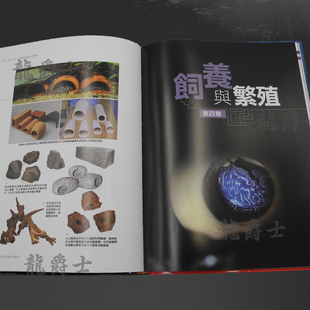 現貨 小型迷宮異型的世界q3 蝦皮購物