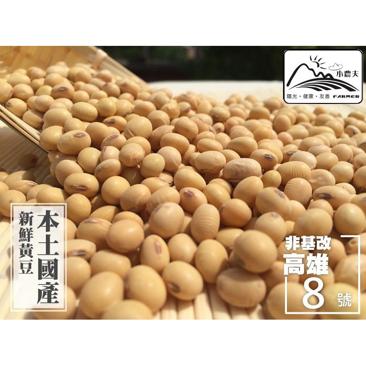【小農夫國產豆類】高雄8號-非基改黃豆 / 3KG