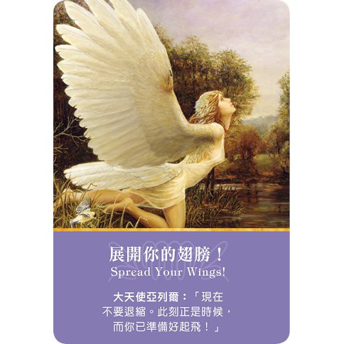 大天使神諭占卜卡 生命潛能牌卡 共創健康的生活 指引靈性的洞見 左西購物網 蝦皮購物