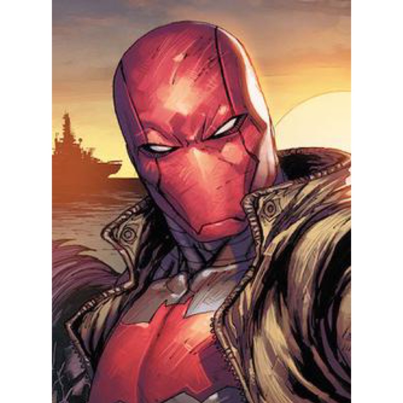 DC multiverse Mattel 美泰兒 Red Hood 紅頭罩 蝙蝠俠 殺手鱷 羅賓6吋