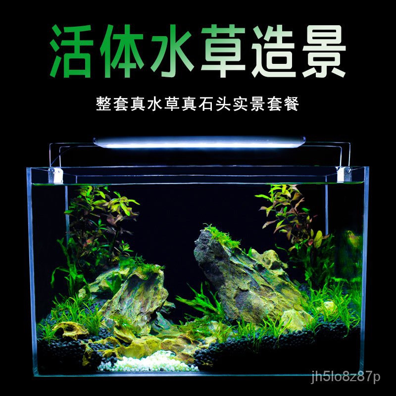 熱銷大氣 真水草魚缸水族箱小型客廳辦公室桌面家用生態草缸裝飾布造景套餐 魚缸 蝦皮購物