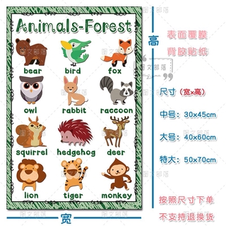 新品预售 幼兒啟蒙教育動物英語單詞思維導圖英文貼紙英語教室主題裝飾墻貼 蝦皮購物