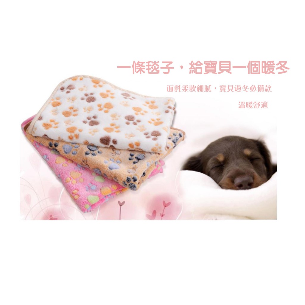 Do Re Mi 毛毯 珊瑚絨 法蘭絨毯 天竺鼠 刺蝟 貓咪 龍貓 蜜袋鼯 狗狗 兔子等小寵物都適用 蝦皮購物